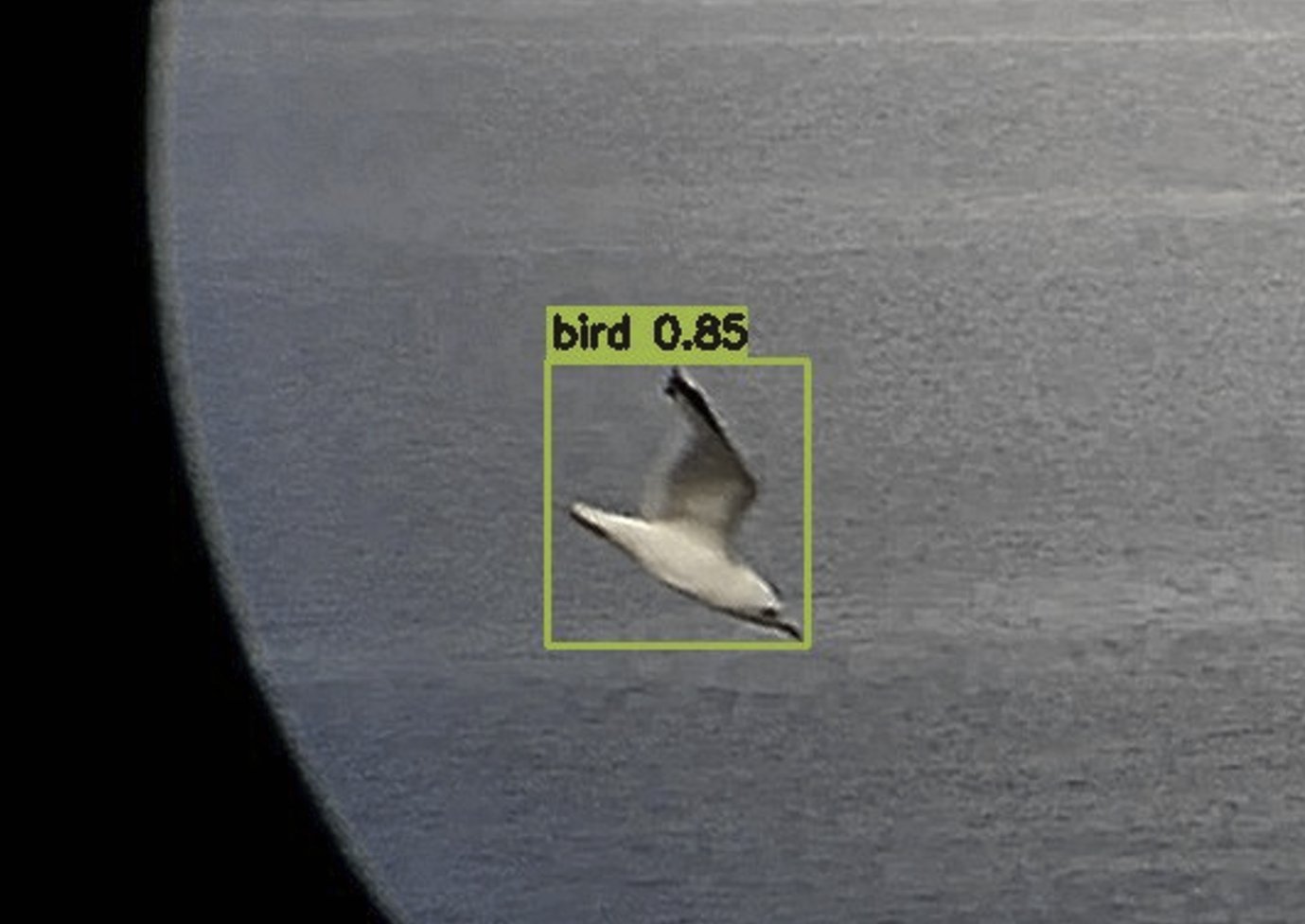 Vision system detecting a bird in flight, confidence 0.85, bounding box overlay